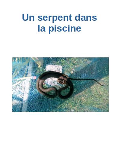 Serpent_Piscine.pdf